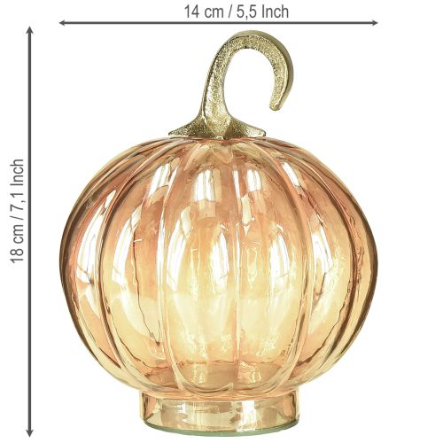 daiktų Moliūgo dekoracija stiklinė stiklinė moliūgų stalo dekoracija oranžinė Ø14cm A18cm