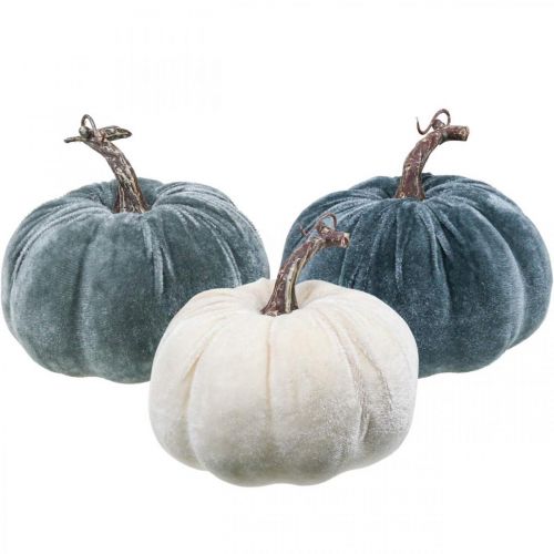 Floristik24 Moliūgų puošmena rudeninė smėlio spalvos pilka flokuota H11cm Ø12cm 3 vnt