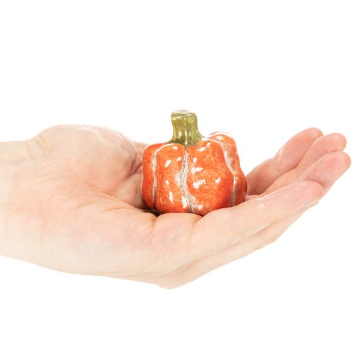 Moliūgų rinkinys: Maži dekoratyviniai moliūgai rudens dekoracijoms, 5 cm, 3 dalys | Floristik24.lt