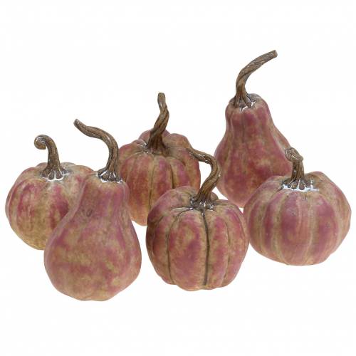 daiktų Mini moliūgų rinkinys oranžinis, alyvinis Ø6,5–7cm 6 vnt
