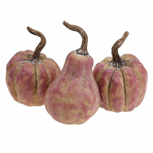 Mini moliūgų rinkinys oranžinis, alyvinis Ø6,5–7cm 6 vnt