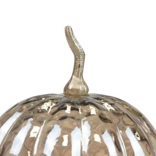 daiktų Moliūgų dekoravimas stiklas stiklas moliūgų stalo dekoras rudeninis Ø14cm H19cm