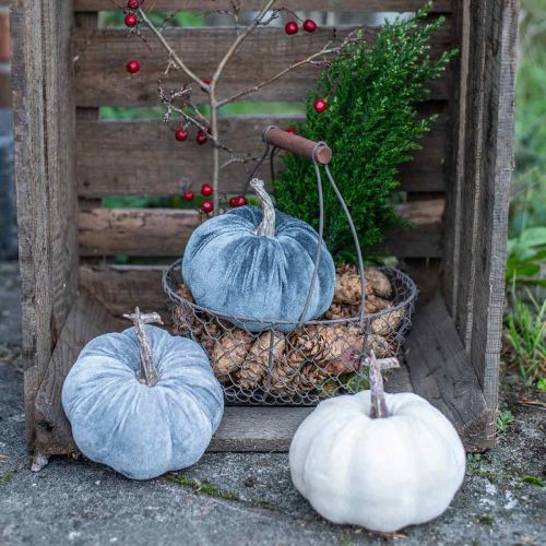daiktų Moliūgų puošmena rudeninė smėlio spalvos pilka flokuota H11cm Ø12cm 3 vnt