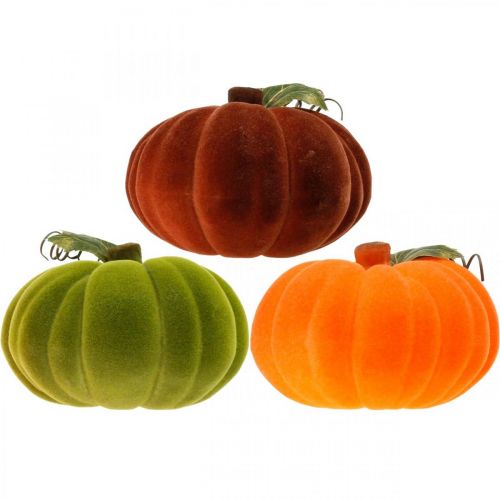 daiktų Dekoratyvinė moliūgų flokuota mišrainė oranžinė, žalia, raudona rudens puošmena 16cm 3 vnt