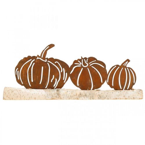 Floristik24 Moliūgų rūdžių ir žievės metalo apdaila ant beržo medienos 20×5cm H9cm