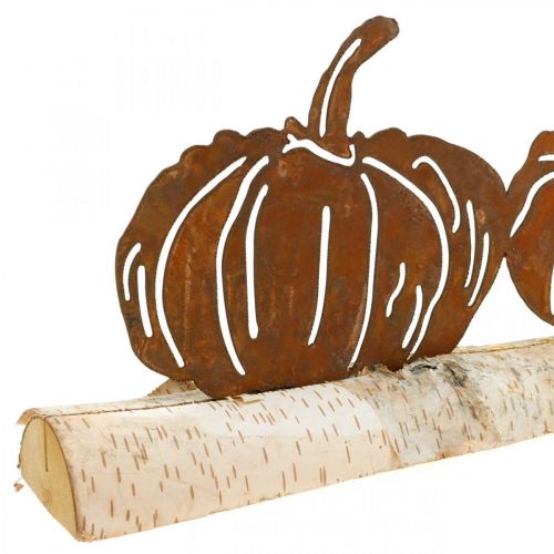 Floristik24 Moliūgų rūdžių ir žievės metalo apdaila ant beržo medienos 20×5cm H9cm