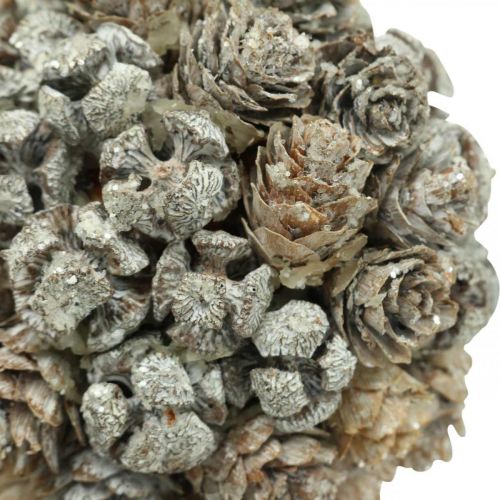Floristik24 Kalėdinės dekoracijos kūgių rutulys, skirtas pakabinti eglutės papuošalus Ø10cm