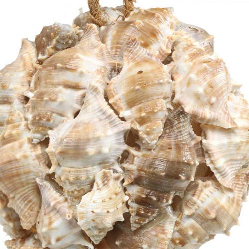 daiktų Deco rutuliniai sraigių kiautai kiautai deko kabantys gamta Ø12cm