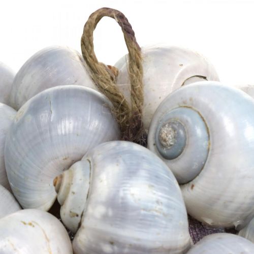 daiktų Dekoratyvinis rutulys, jūros sraigės, kriauklės rutulys, natūralus dekoravimas, jūrinė puošmena, Ø19cm