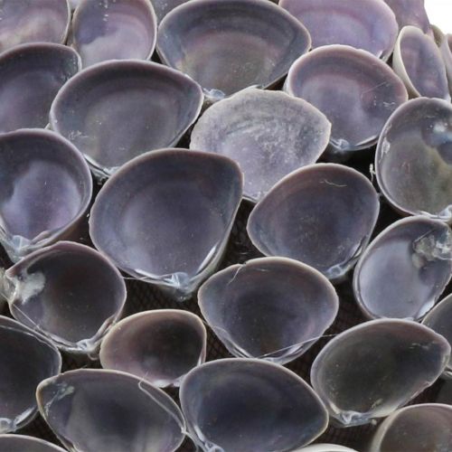 daiktų Kriauklių kamuoliukas Jūrinė dekoracija su kriauklėmis Deko kamuoliukas violetinis Ø12cm