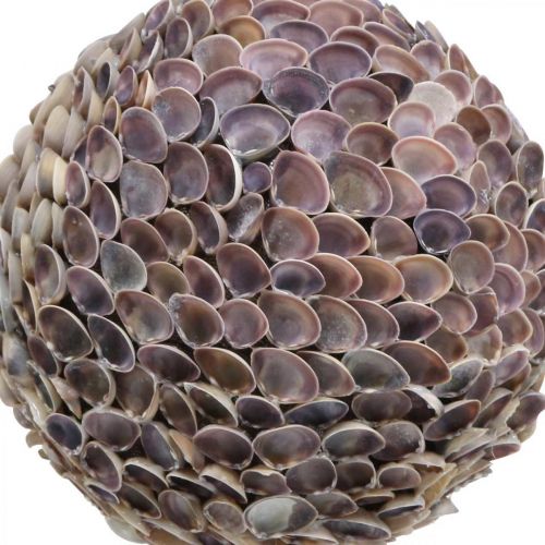 daiktų Deco rutuliniai kriauklės kriauklės kamuolys didelis Jūrinė apdaila Ø25cm