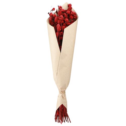 daiktų Gaublys burnočiai Gomphrena Globosa tamsiai raudonos spalvos L45cm 100g
