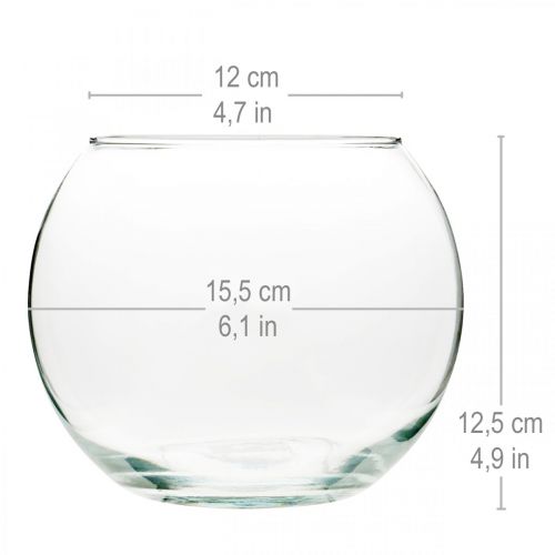 daiktų Rutulinė vaza Stiklo vaza Skaidri apvalaus stalo vaza Gėlių vaza Ø15,5 cm H12,5 cm