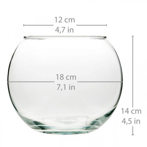 daiktų Rutulinė vaza stiklinė vaza skaidri apvali stalinė vaza gėlių vaza Ø18cm H14cm