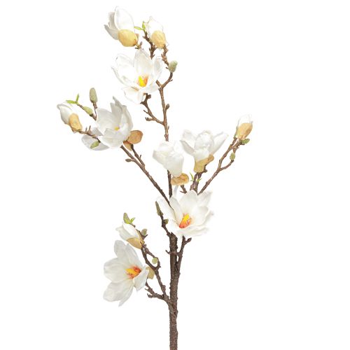 daiktų Dirbtinės gėlės magnolijos šakelės žiedai Ø2–10cm kreminiai L105cm