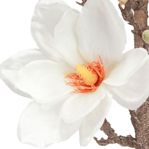 daiktų Dirbtinės gėlės magnolijos šakelės žiedai Ø2–10cm kreminiai L105cm
