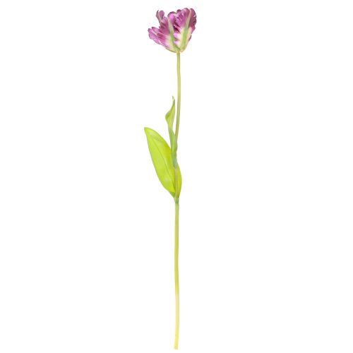 daiktų Dirbtinė gėlė papūgos tulpė dirbtinė dekoratyvinė tulpė violetinė 63cm