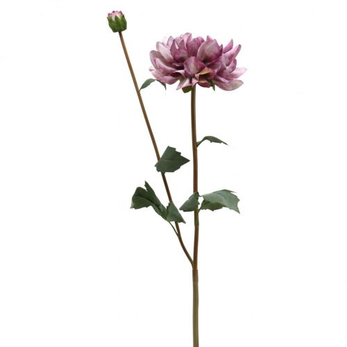 daiktų Dirbtinė gėlė Dahlia Purple šilko gėlė ir pumpuras H57cm