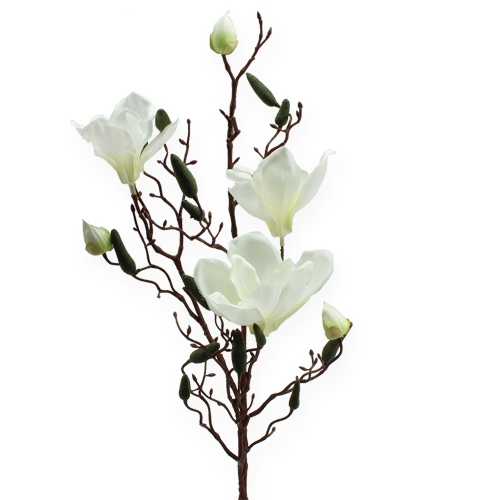 Floristik24 Dirbtinis magnolijos šakelių kremas 90cm