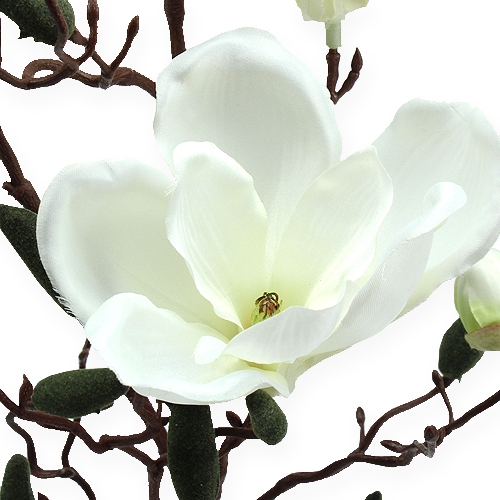 daiktų Dirbtinis magnolijos šakelių kremas 90cm