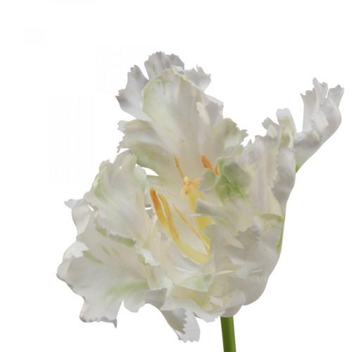 Floristik24 Dirbtinė gėlė, papūga tulpė baltai žalia, pavasarinė gėlė 69cm