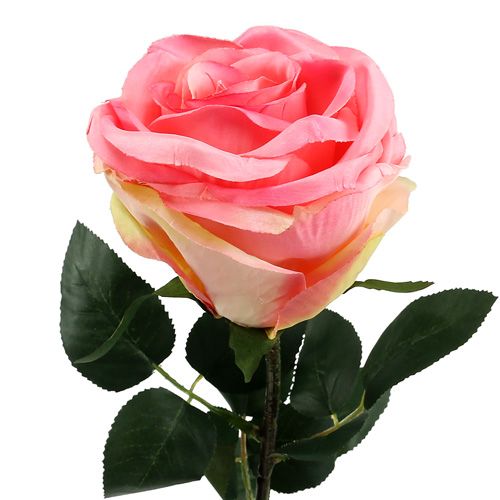 Floristik24 Dirbtinės gėlės rožės užpildytos rožinės spalvos Ø10cm L65cm 3vnt