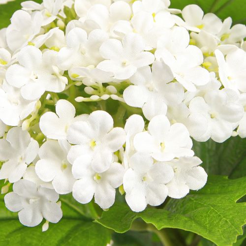 daiktų Dirbtinės gėlės Sniego gniūžtė Viburnum Dirbtinė balta 60cm 4 vnt