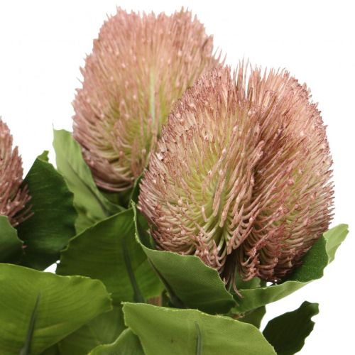 daiktų Dirbtinės gėlės, Banksia, Proteaceae balta-violetinė L58cm H6cm
