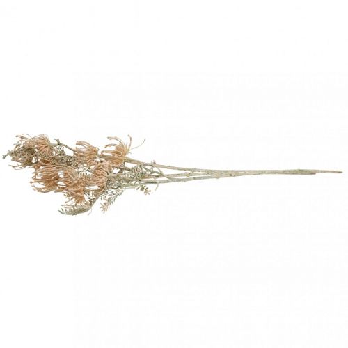 Floristik24 Dirbtinės gėlės, Gėlė pagalvėlė, Leucospermum, Proteaceae Wash White L58cm 3vnt.