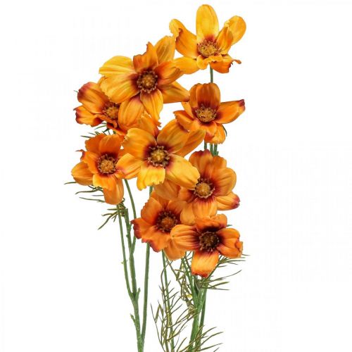 Floristik24 Dirbtinės gėlės Cosmea Orange papuošalų krepšelis H51cm 3 vnt