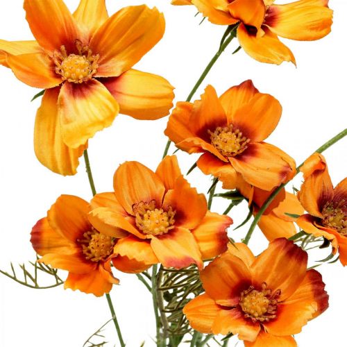 daiktų Dirbtinės gėlės Cosmea Orange papuošalų krepšelis H51cm 3 vnt