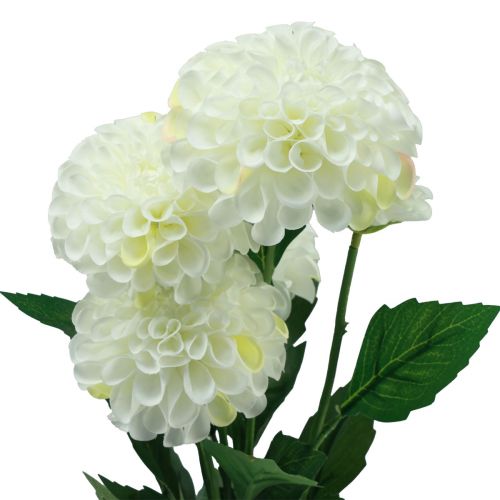 daiktų Dirbtinės gėlės dekoratyviniai jurginai dirbtiniai balti 50cm