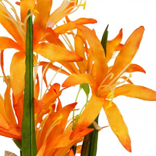 Floristik24 Dirbtinės gėlės Nerine Orange Gernsio lelijos Rudens gėlės 48cm