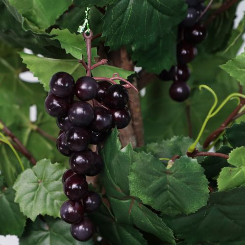 daiktų Dirbtinis augalas vazone Dirbtinis vynmedis su vynuogėmis H120cm