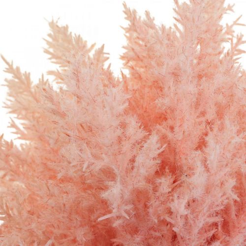 daiktų Dirbtinis augalas Astilbe dekoravimo šakos Dirbtinė rožinė H38cm 5 vnt