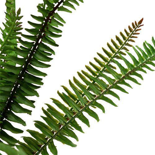Floristik24 Dirbtinis papartis tamsiai žalias 45cm