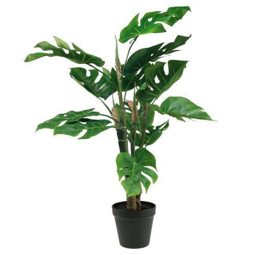 Dirbtinis augalas Philodendron Dirbtinis vazoninis augalas H60cm