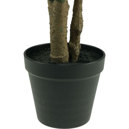 Floristik24 Dirbtinis augalas Philodendron Dirbtinis vazoninis augalas H60cm