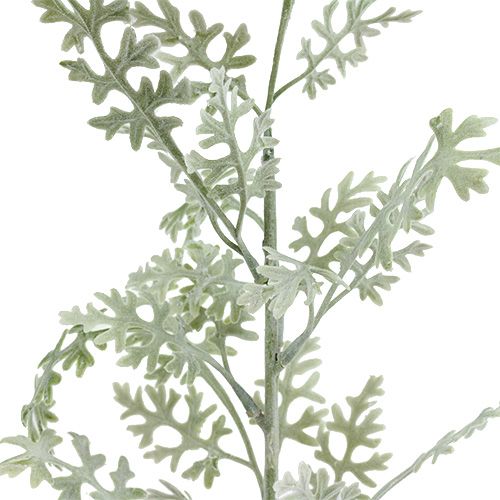 daiktų Dirbtiniai augalai sidabro lapelis balta-žalia 40cm 6vnt