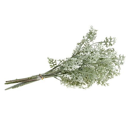 Floristik24 Dirbtiniai augalai sidabro lapelis balta-žalia 40cm 6vnt