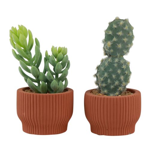 Dirbtiniai augalai Sultingi kaktusai Dirbtinis žalias augalas 14,5/15,5 cm 2 vnt