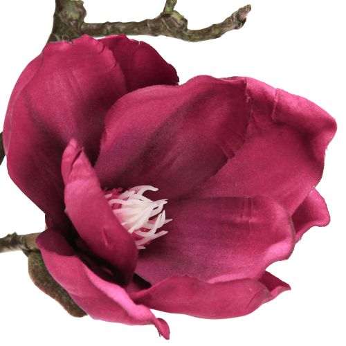 daiktų Dirbtinės magnolijos šakelė Dirbtinės gėlės Bordo L100cm