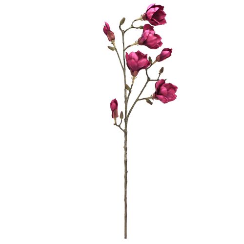 daiktų Dirbtinės magnolijos šakelė Dirbtinės gėlės Bordo L100cm