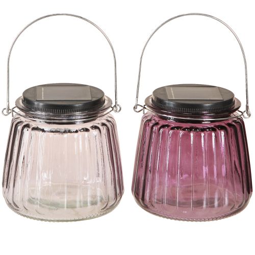 daiktų LED sodo apšvietimas stiklinis saulės kolektorius, skirtas pakabinti Violetinė Ø10,5cm 2vnt