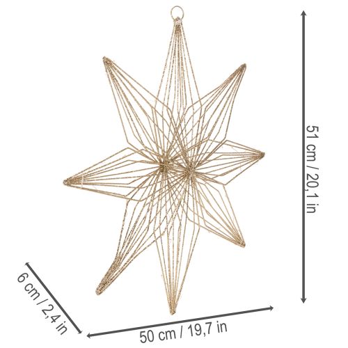 Dekoratyvinė LED žvaigždė, pagaminta iš vielos, skirta pakabinti, naudoti viduje, maitinama baterijomis, 51 cm | Floristik24.lt