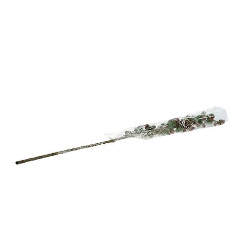 Floristik24 Maumedžio šaka su kūgiais, apsnigta 92cm