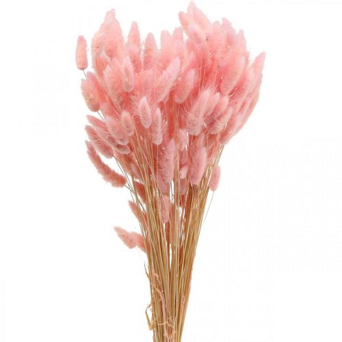 Lagurus džiovinta triušio uodega žolė šviesiai rožinė 65-70cm 100g
