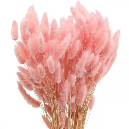 daiktų Lagurus džiovinta triušio uodega žolė šviesiai rožinė 65-70cm 100g