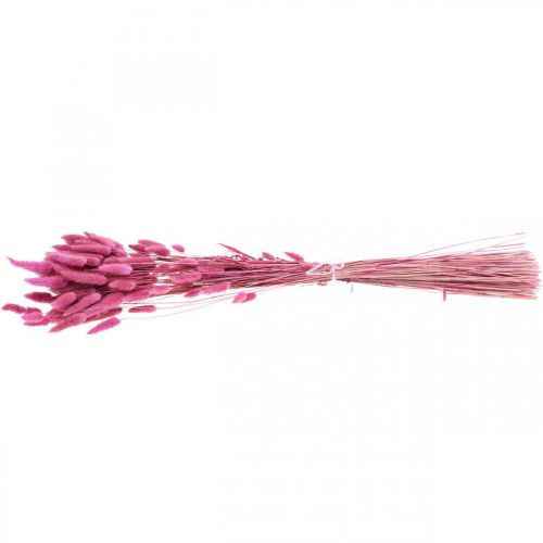 Floristik24 Lagurus džiovintos triušio uodegos žolės violetinės spalvos 65-70cm 100g