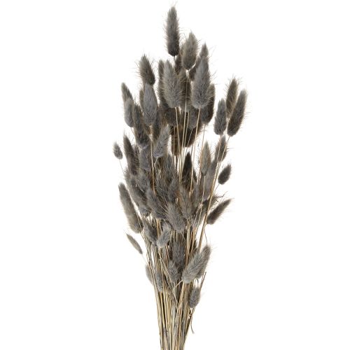 daiktų Lagurus džiovinta kiškio uodega pilka žolė 45-55cm 50g